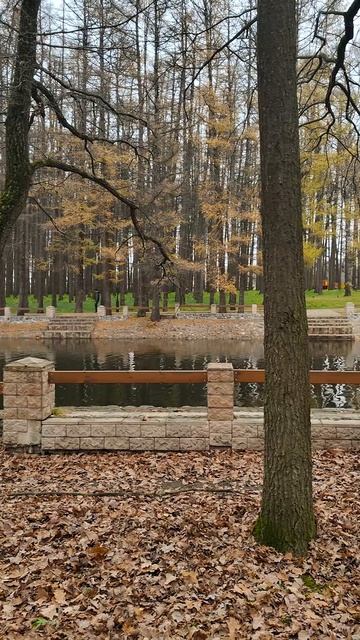 Осень в Новомосковске 2025