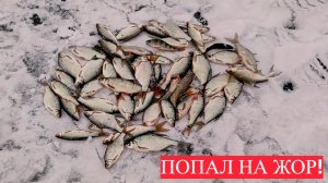 ПЕРВЫЙ ЛЁД! ЗИМНЯЯ РЫБАЛКА НА МОРМЫШКУ. ПОЙМАЛ МНОГО РАЗНОЙ РЫБЫ.