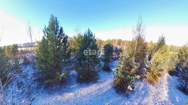 10183614 смотреть онлайн