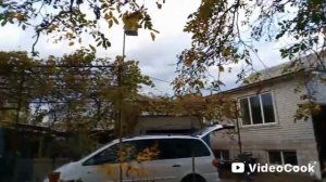 Ессентуки орехи