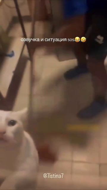 1000435189.mp4 смотреть онлайн