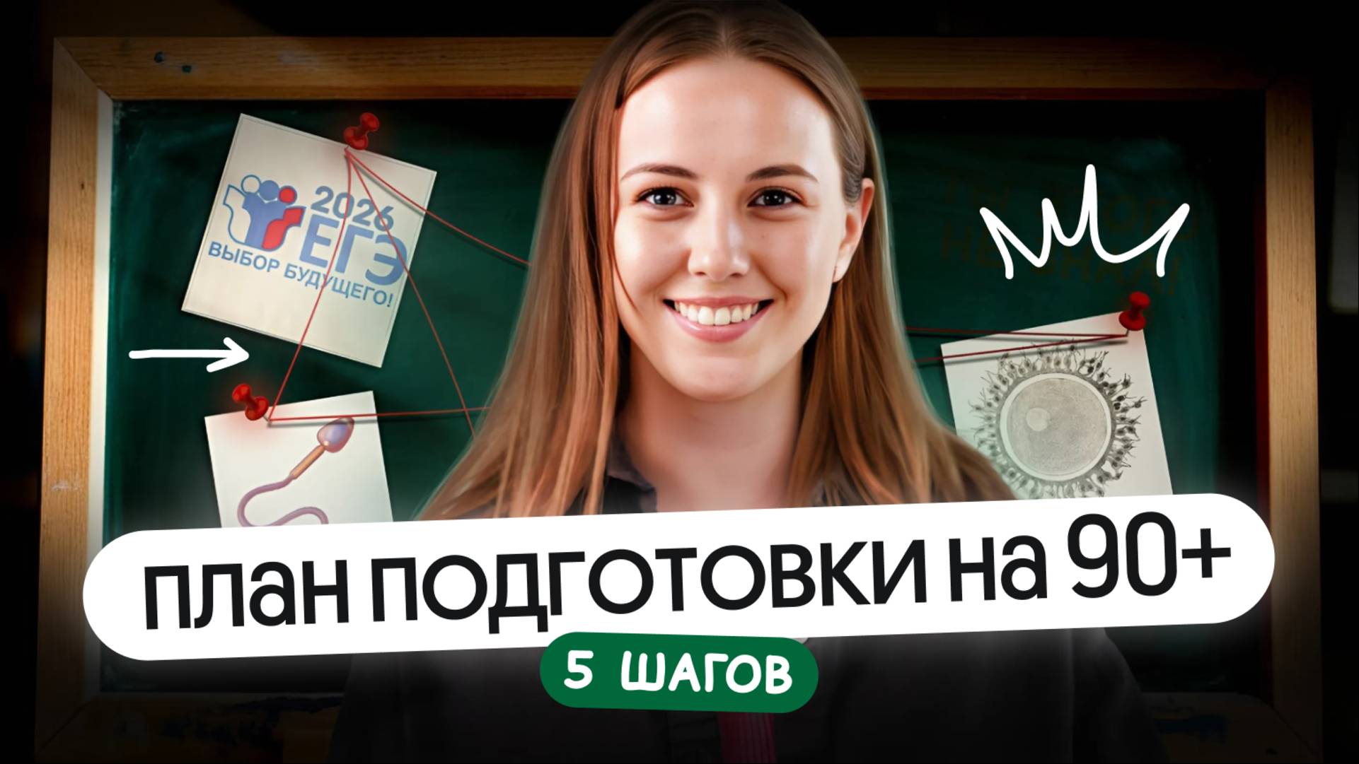 ПЛАН ПОДГОТОВКИ НА 90+ на ЕГЭ по биологии 2026 | 5 ШАГОВ смотреть онлайн
