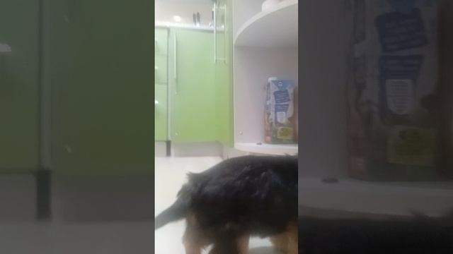 Тёма играет смотреть онлайн