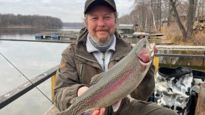 Осень. Юхро. Форель на спиннинг. Запускаем призовых рыб.