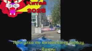 Город Янцзы. Прогулка по городу. Китай 2025