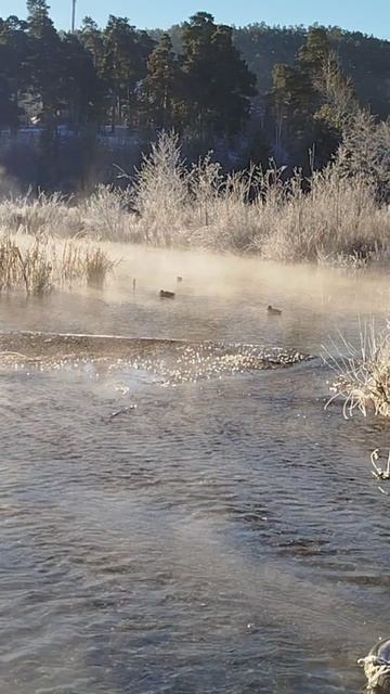 С добрым утром!