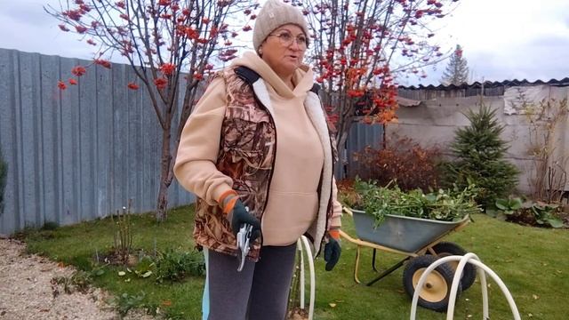 СДЕЛАЛИ ДУГИ НА РОЗЫ смотреть онлайн