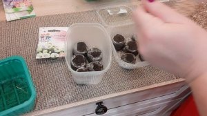 ЕЗДИЛИ НА ДАЧУ// ПОСЕВ ЭУСТОМЫ//