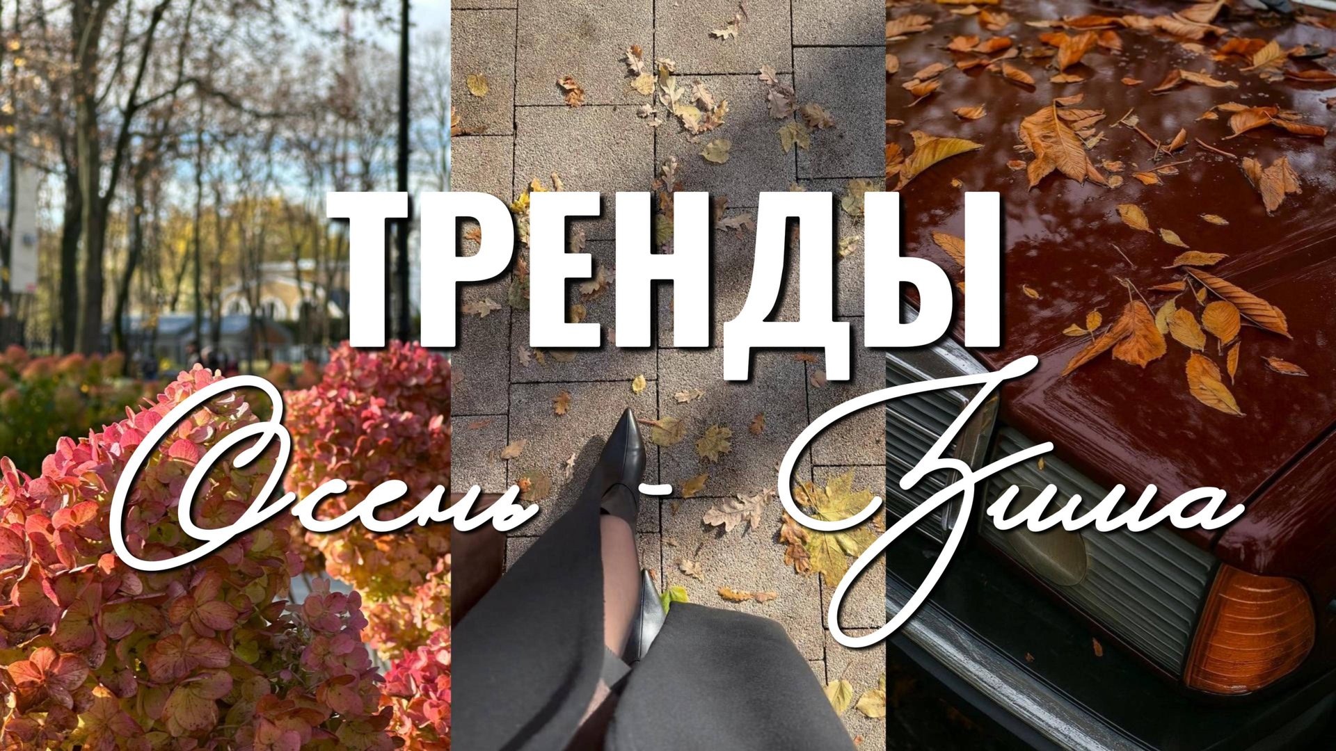 ТРЕНДЫ ОСЕНЬ-ЗИМА 2025/2026 | Что модно этой осенью и зимой? Главные тренды сезона. смотреть онлайн