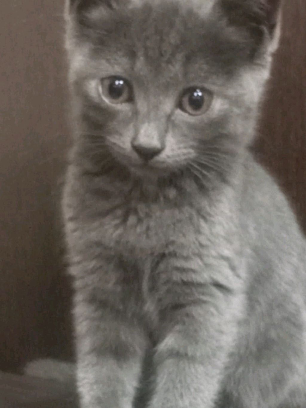 готовимся к школе на завтра смотреть онлайн