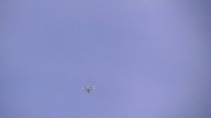 4.11.2025Г.Некоторые перекличку сдали.