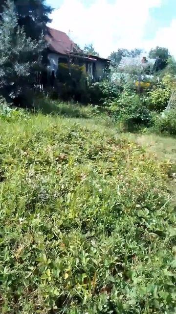 ПОСЛЕДНИЙ ДЕНЬ ДАЧНИКА. ВОЛЕЙБОЛ, БАСКЕТБОЛ, БАДМИНТОН И БАНЯ НА ДАЧЕ.