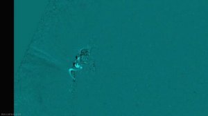 СОЛНЦЕ 30.10-04.11.2025