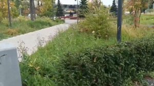 ЕСЛИ ТЕБЕ БУДЕТ В ЭТОЙ ЖИЗНИ ПЛОХО. НЕ ПЕРЕД КЕМ НЕ ВСТАВАЙ НА КОЛЕНИ. КРОМЕ БОГА.