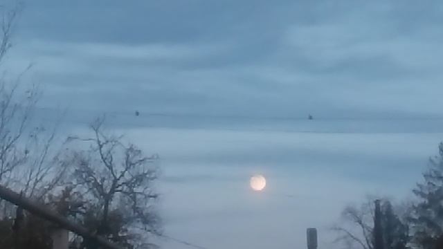 VID_20251104_170146.mp4 смотреть онлайн