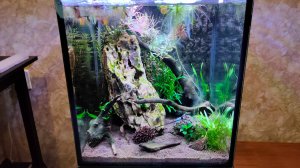 Минус два больших аквариума плюс два маленьких 04.11.2025 г