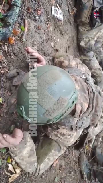 свиноскуфы с Покровска. Пишут их fpv дронами их свои добили смотреть онлайн