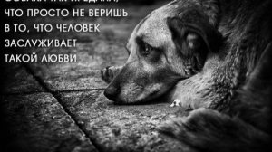 МОНОЛОГ БРОШЕННОЙ СОБАКИ. Фильм Владимира Непогодьева