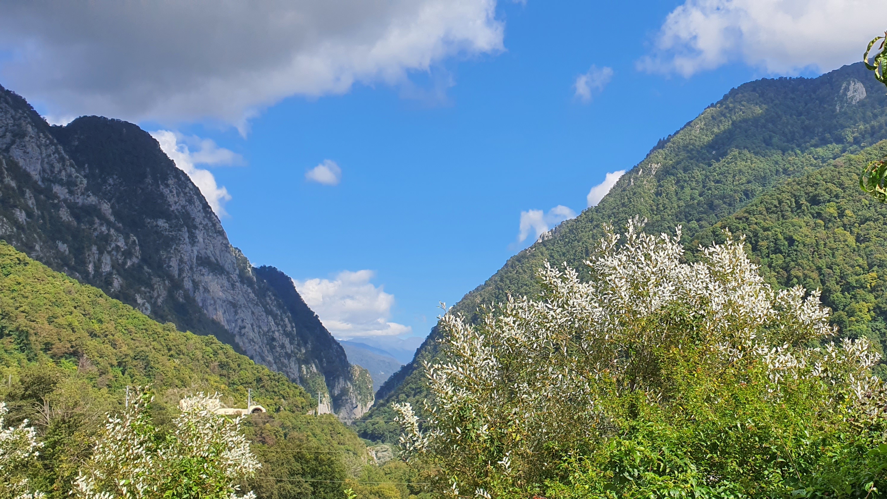 По дороге на Красную поляну. Сочи. смотреть онлайн