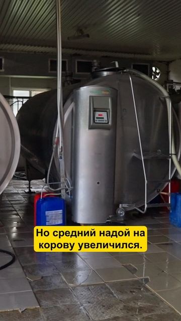 Как увеличили НАДОИ на ферме? #фермер #молоко #ферма #агро #агротехнологии #коровы смотреть онлайн