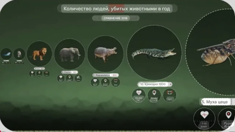 Самые смертоносные животные в мире. Сравнение смотреть онлайн