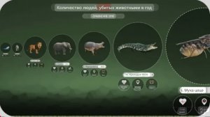 Самые смертоносные животные в мире. Сравнение