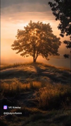 Dj Нейрофомин - Я иду долиной (feat. Сергей Есенин).