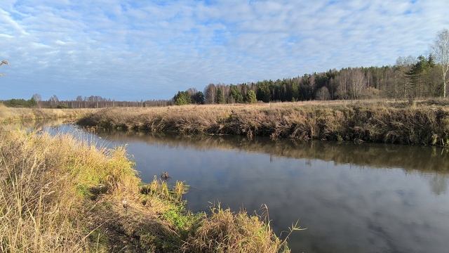 Река Уводь. ч.4. Ноябрь 2025 смотреть онлайн