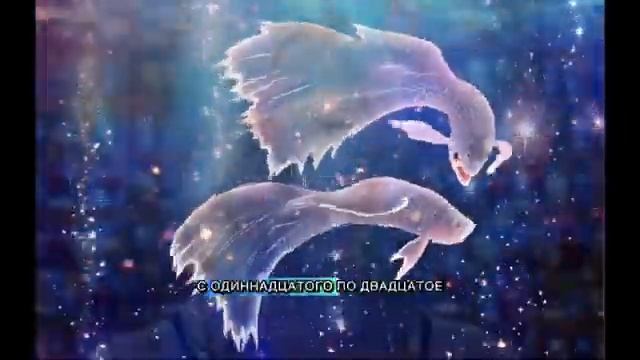 2025 oTokozemliTatianaOM 2025-otokozemlitatianaom