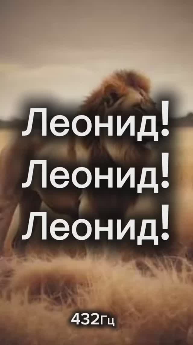 «Леонид! Леонид! Леонид!»