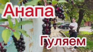 Погуляли по пустым улицам Анапы. Тепло. Красиво.