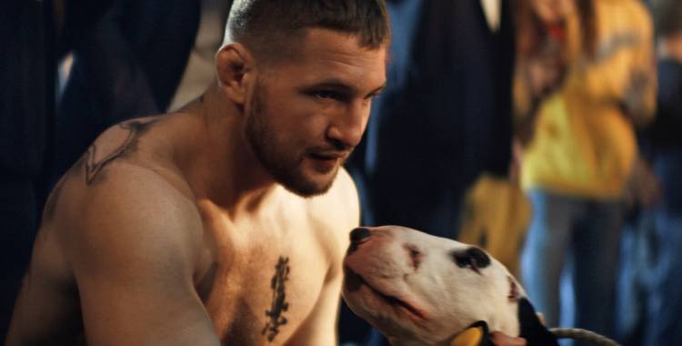 Бультерьер (2022) смотреть онлайн