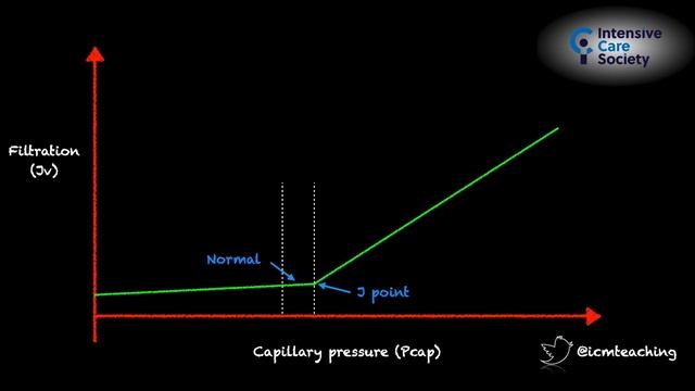 Capillary leak Ashley Miller 2022