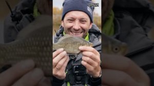 Карась поздней ОСЕНЬЮ! Реально? Смотрите в новом выпуске #снастиздрасьте