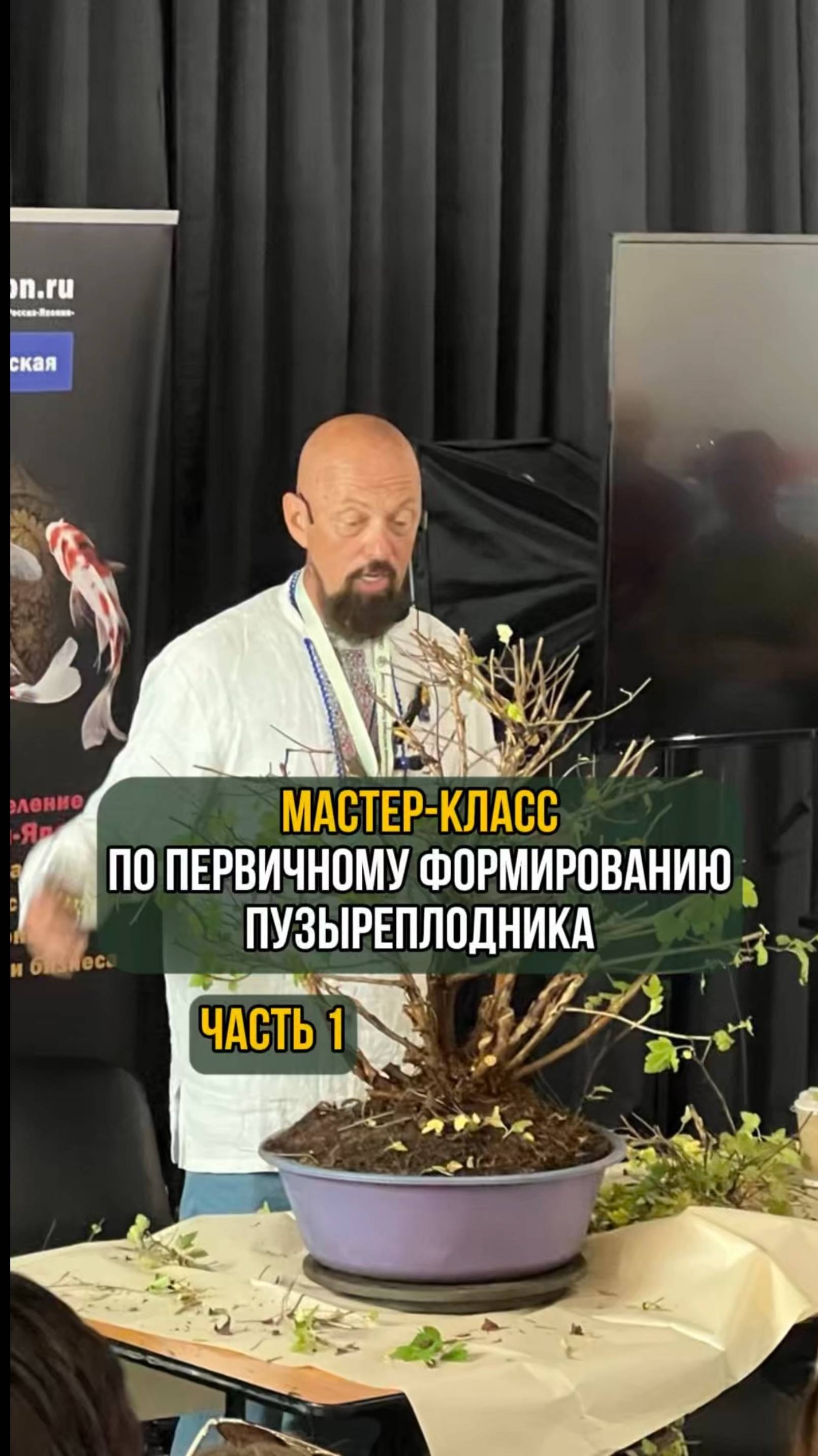 Мастер-класс по первичному формированию пузыреплодника. Часть 1. смотреть онлайн