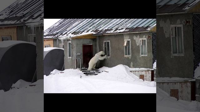 Ты че такой дерзкий?!