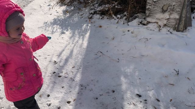 Первый снег 1 ноября