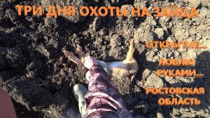 Охота на зайца...хотел поймать руками