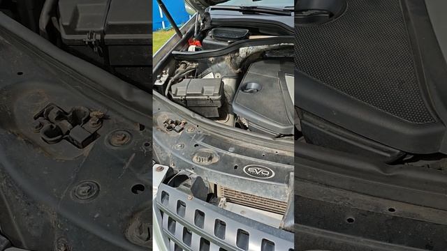 1000012855.mp4 ML W164