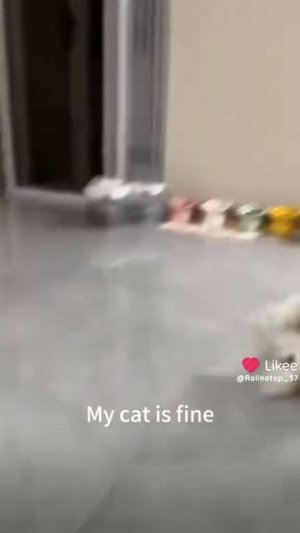 1000001852.mp4