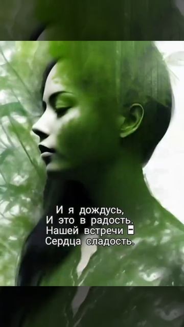 Песня. Я тебя жду