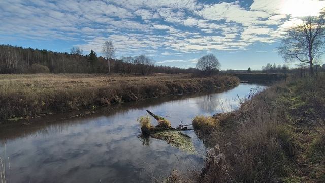 Река Уводь. ч.7. Ноябрь 2025 смотреть онлайн