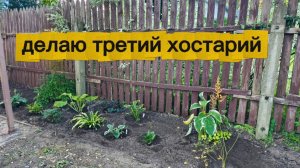 Начала создавать новый цветник хостарий!