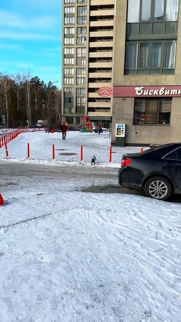 Тормоза надежные 😁 смотреть онлайн