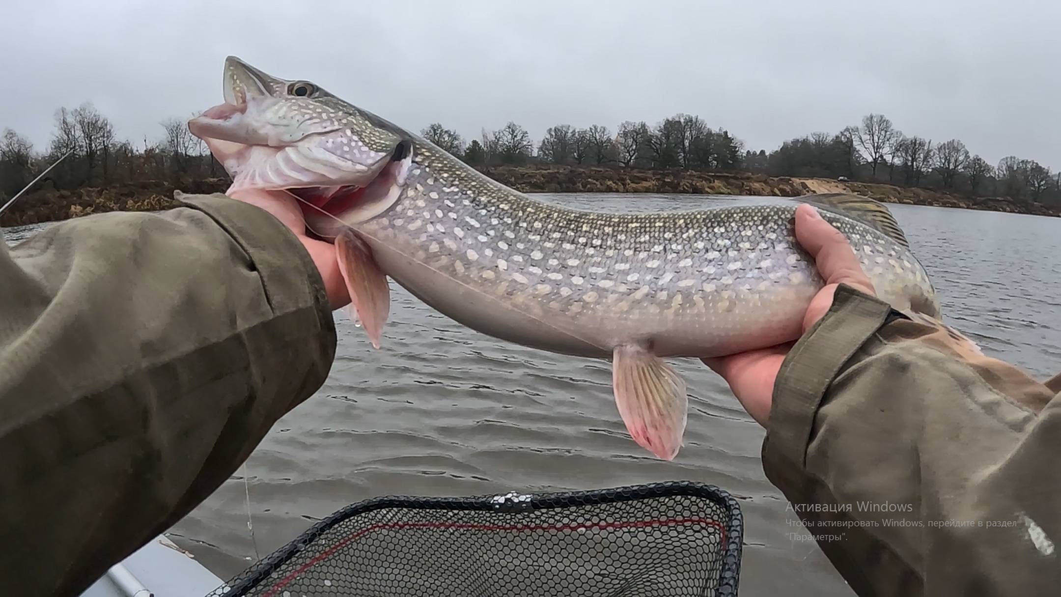 Рыбалка в ноябре 2025. Щука, судак и окунь на спиннинг смотреть онлайн