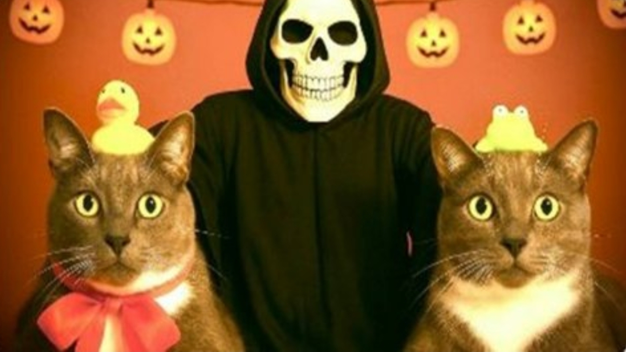 ЕСЛИ БЫ КОТИКИ ХОДИЛИ В ШКОЛУ ПРАНКИ НАД УЧЕНИКАМИ НА ХЕЛЛОУИН перезалив kotinet смотреть онлайн