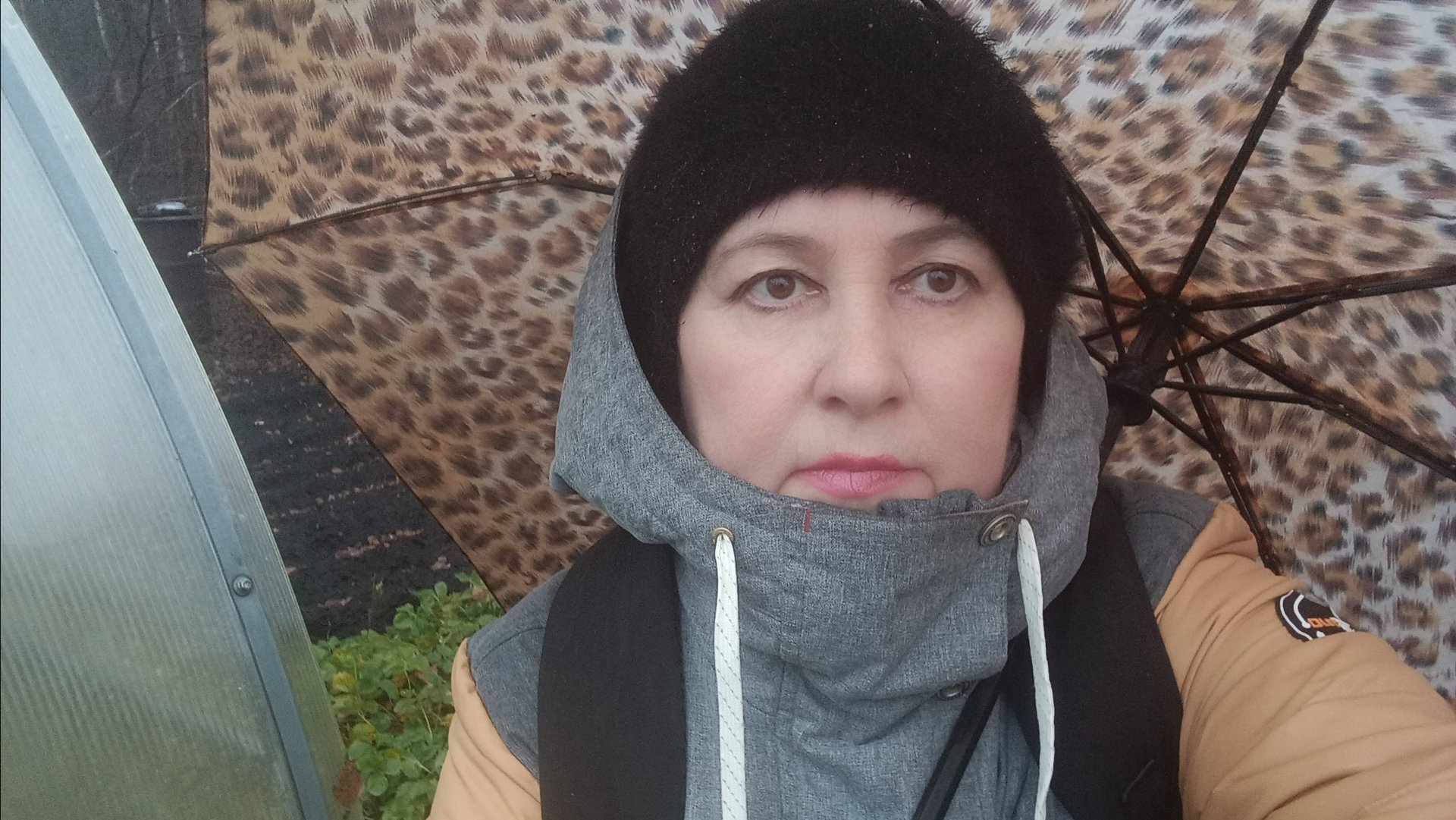 даже не зовите ❌ больше не пойду ответ на комментарий смотреть онлайн