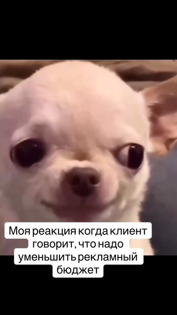 Моя реакция когда клиент хочет уменьшить бюджет в Яндексе смотреть онлайн