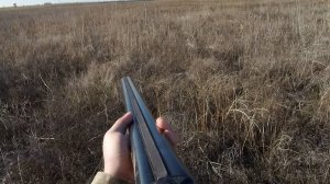 Охота на зайца.Сезон 2025-2026.Открытие