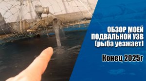 Обзор моей подвальной УЗВ на конец 2025 года